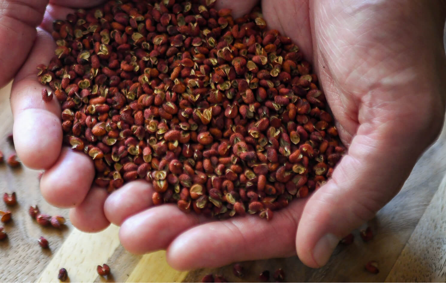 黄金比配合の山椒は、カンゲキの一撃です。