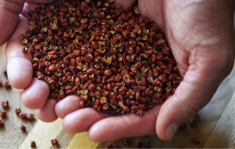 黄金比配合の山椒は、カンゲキの一撃です。